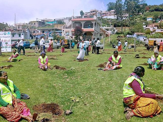 Workers with the Kotagiri town panchayat were roped in to help with the plantation of trees inside the Rifle Range wetland in Kotagiri