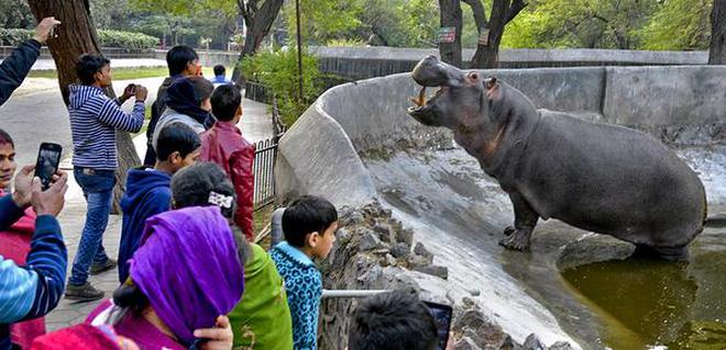 Zoo in delhi