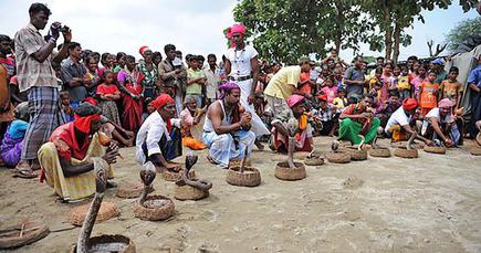 In Sri Lanka This Tribe Speaks Telugu The Hindu