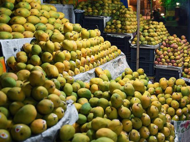 Image result for Karnataka Farmers expects Mango produce as low as 30% of average annual yield