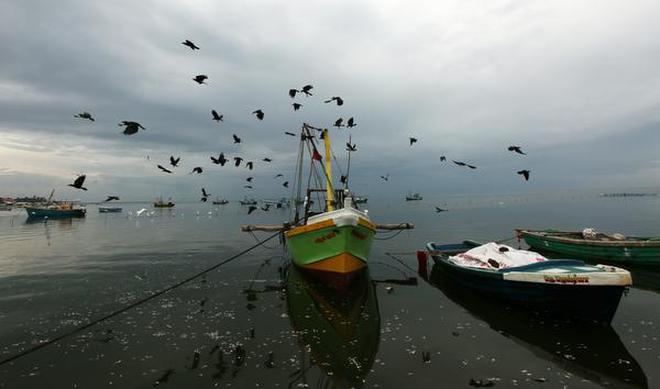 The former government began restructuring the damaged fisheries harbour to help revive livelihoods of the fisherfolk of Myliddy, located on the island's northern tip, in Jaffna peninsula. The Gurunagar fishing port in Jaffna, Sri Lanka.