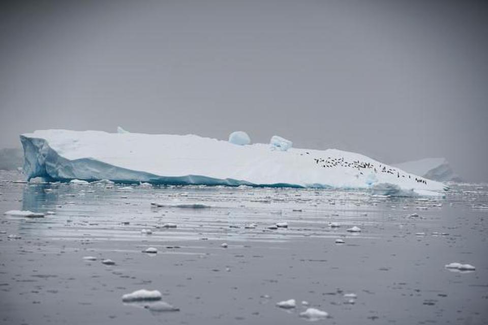 An iceberg floats in Andvord Bay, Antarctica. File
