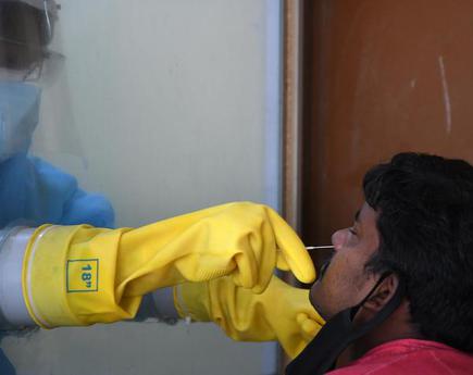 Made In India Coronavirus Test Swabs To Cost Only One Tenth Of Imported Ones The Hindu