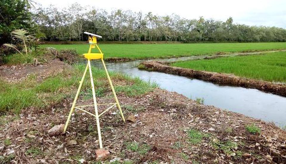 A solar light trap that has been deployed at a paddy field in Kallara.