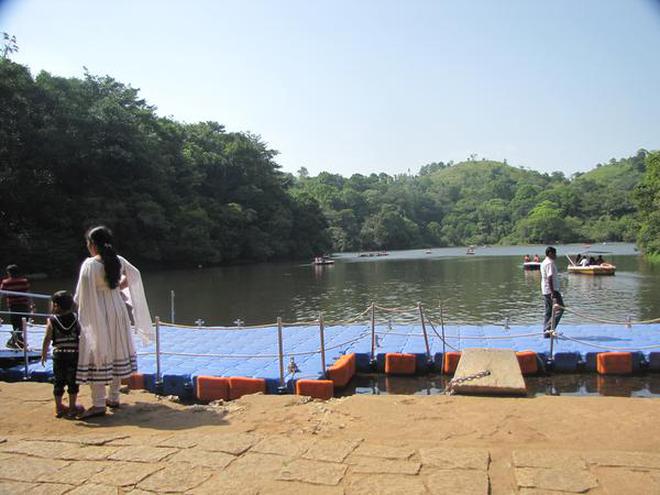 Pookode Lake, a major tourism destination in Wayanad district, recorded a low arrival of tourists this season.