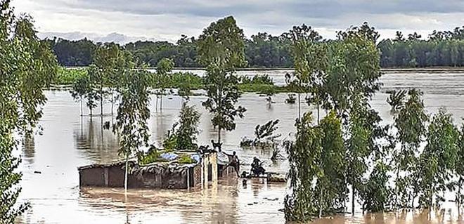 Image result for punjab flood