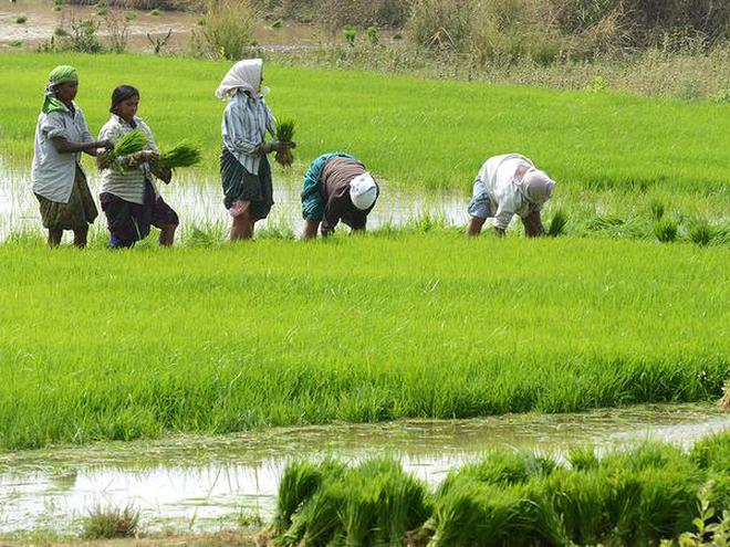 Telugu agricultural news-telangana agricultural schemes list