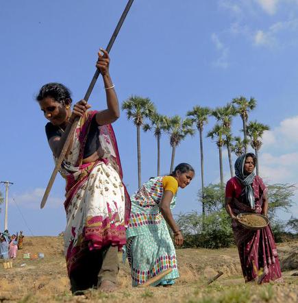 Utilise MGNREGA to the fullest capacity - The Hindu