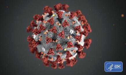 Home strike: A team of researchers has deciphered the crystal structure of the main protease of the virus.